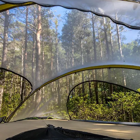 Luxury tent Adventure Forest Castellane