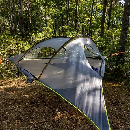 Adventure Forest 卡斯特拉讷