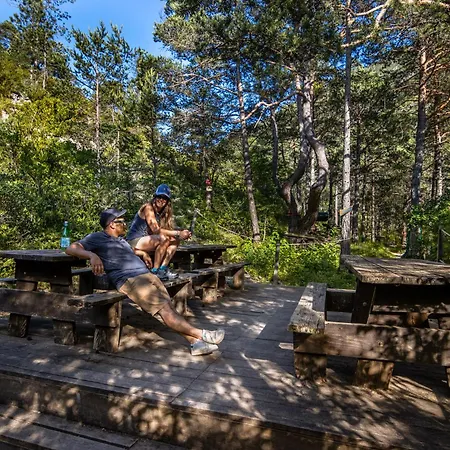 Luxury tent Adventure Forest *