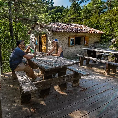 Adventure Forest